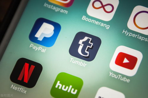 软件开发过程的关键步骤与信息咨询服务的融合实践